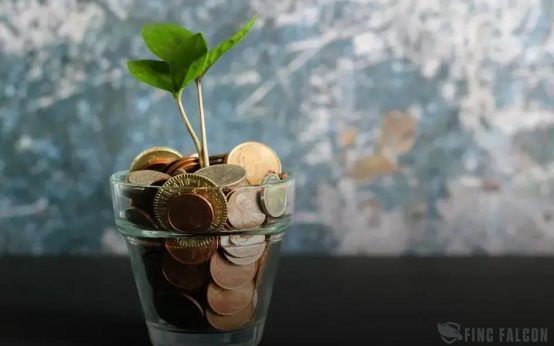 How to Spot Undervalued Stocks Before They Skyrocket