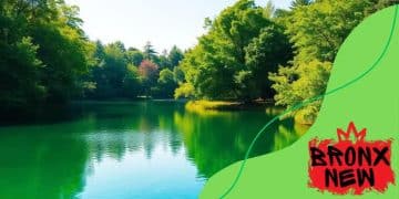 Green bonds and their financial returns: a savvy investment choice